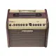 Fishman Loudbox Mini