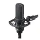 Audio Technica MICROFONE CONDENSADOR AT4050ST