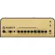Yamaha THR 30II Wireless