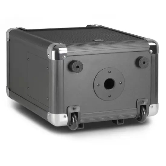 LD Systems Roadjack 10