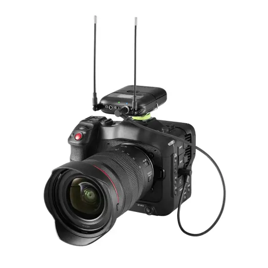 Shure RECETOR SLXD5 H56 (519 562MHz)