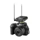 Shure RECETOR SLXD5 J53 (562 606MHz)