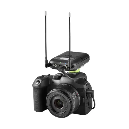Shure RECETOR SLXD5 K59 (606 650MHz)