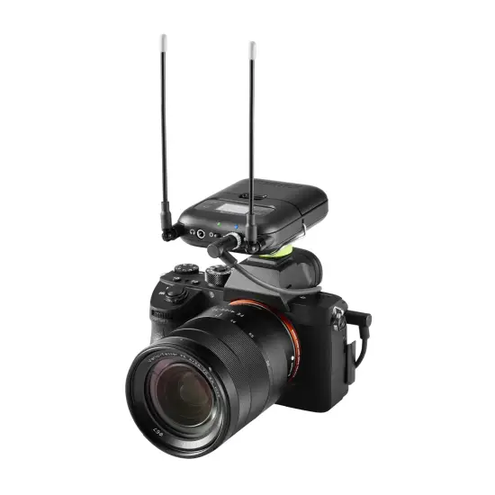 Shure RECETOR SLXD5 L56 (650 694MHz)