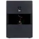 Blackstar Debut 212V Black