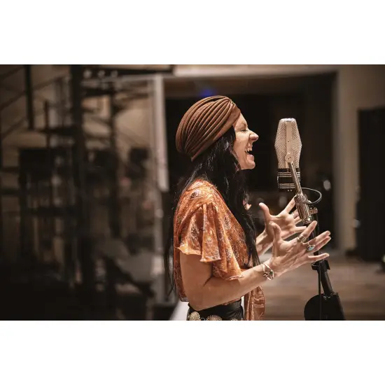 WARM AUDIO MICROFONE FITA WA 44