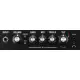 Laney DBF30