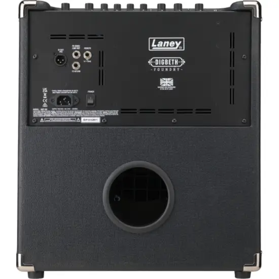 Laney DBF100