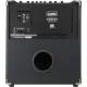 Laney DBF100