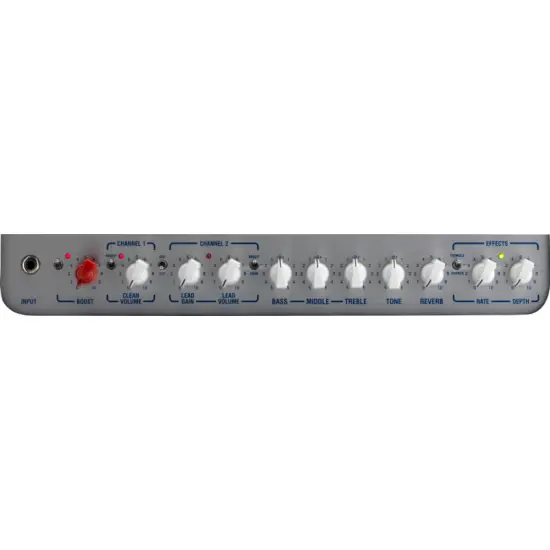 Laney LFSUPER60 212