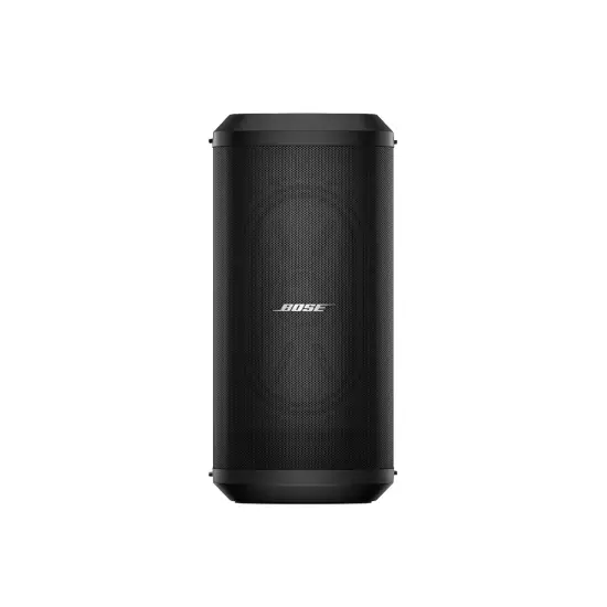 Bose Sub1