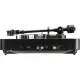 Korg handytraxx tube