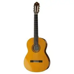 Yamaha C40