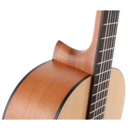 Yamaha C40M