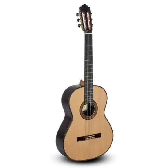 Paco Castillo 205