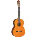 Yamaha CGX 102