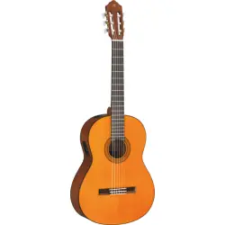 Yamaha CGX 102