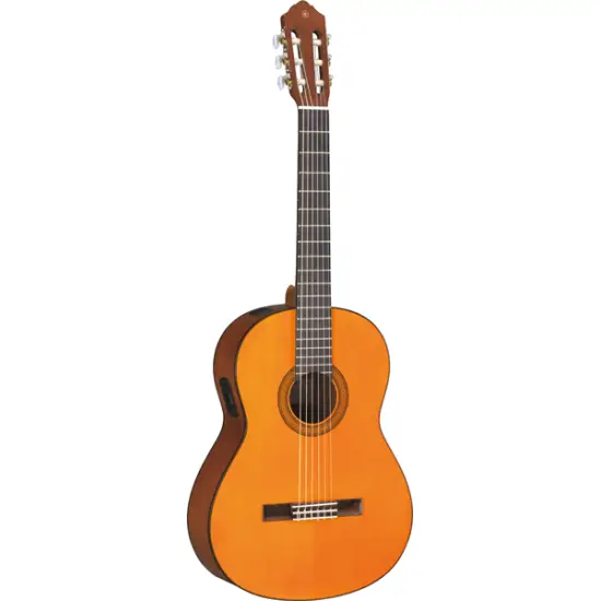 Yamaha CGX 102
