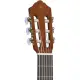 Yamaha CGX 102