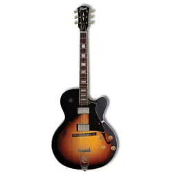 Hollowbody