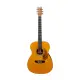 Tanglewood Sundance Historic TW40 O ANE