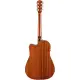 Fender CD 60SCE Dread WN All Mah