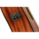 Fender CD 60SCE Dread WN All Mah