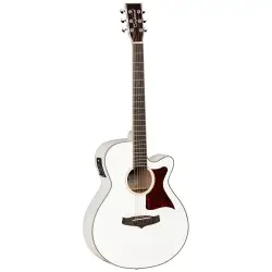 Guitarras Acústicas
