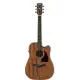 Ibanez AW54CE  Open Pore Natural