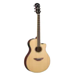 Guitarras Acústicas