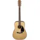 Fender CD 60 Dread V3 DS WN NAT