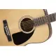 Fender CD 60 Dread V3 DS WN NAT