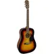Fender CD 60 Dread V3 DS WN SB