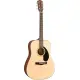 Fender CD 60S Dread WN NAT