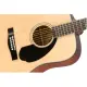 Fender CD 60S Dread WN NAT