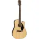 Fender CD 60SCE Dread WN NAT