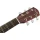 Fender CD 60SCE Dread WN NAT