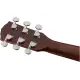 Fender CD 60SCE Dread WN NAT