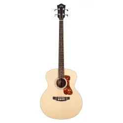 Baixos Acústicos