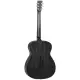 Tanglewood Blackbird Orchestra TWBB OE