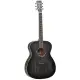 Tanglewood Blackbird Orchestra TWBB O