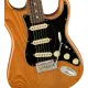 Fender American Pro II Stratocaster RW RST PINE