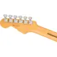 Fender American Pro II Stratocaster HHS MN RST PINE