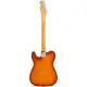 Fender American Pro II Telecaster MN SSB