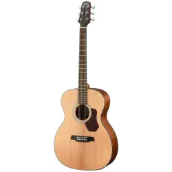 Guitarras Acústicas