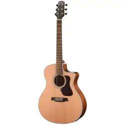 Guitarras Acústicas