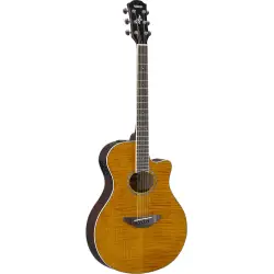 Guitarras Acústicas