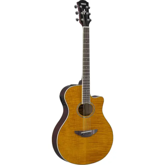 Yamaha APX600 FM AM