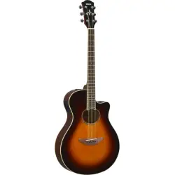 Yamaha APX600 OVS