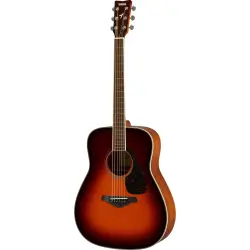 Guitarras Acústicas